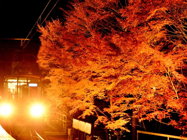 9. 【京都】叡山電車 / 乗り物から紅葉を楽しむ