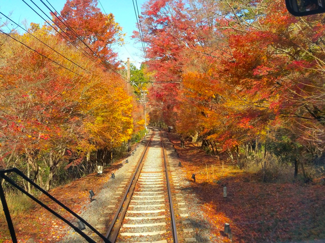 9. 【京都】叡山電車 / 乗り物から紅葉を楽しむ