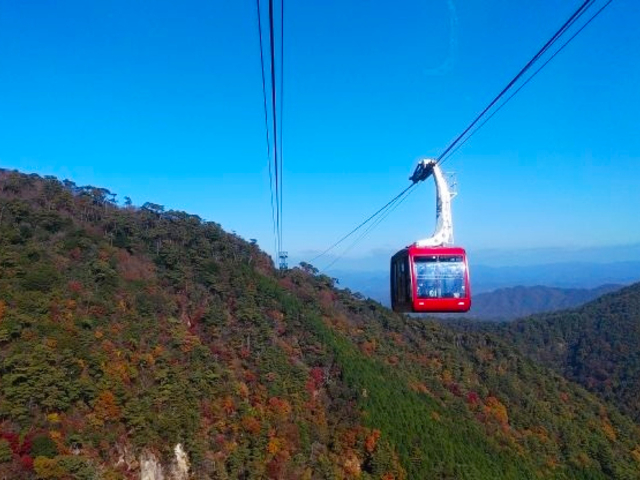 10. 【兵庫】六甲有馬ロープウェー / 乗り物から紅葉を楽しむ