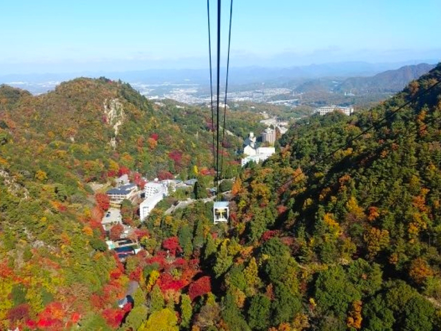 10. 【兵庫】六甲有馬ロープウェー / 乗り物から紅葉を楽しむ