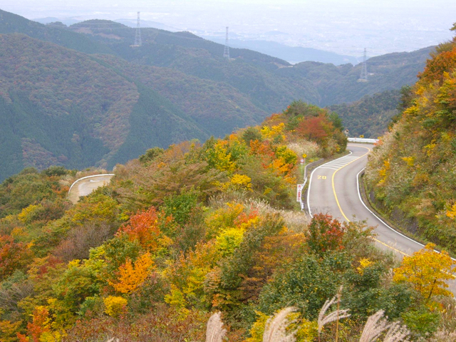 14. 【岐阜】伊吹山ドライブウェイ / 紅葉ドライブ