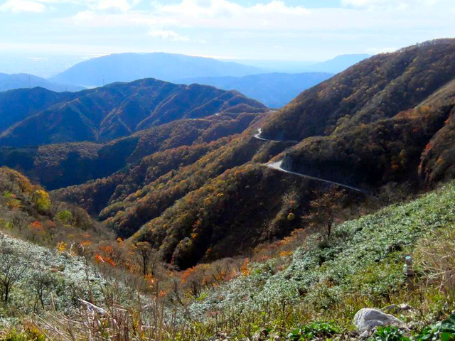 14. 【岐阜】伊吹山ドライブウェイ / 紅葉ドライブ