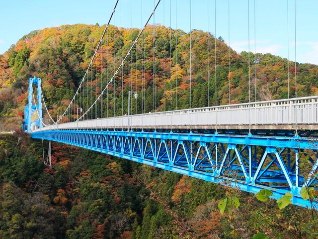1. 【茨城】竜神大吊橋でバンジージャンプ / 紅葉と一緒に♪