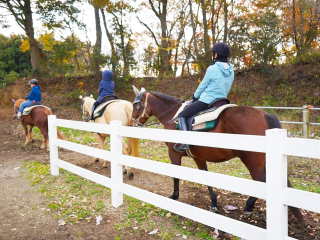 3. 【栃木】那須高原でホーストレッキング / 紅葉と一緒に♪