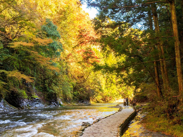 5. 【千葉】養老渓谷でハイキング / 紅葉と一緒に♪