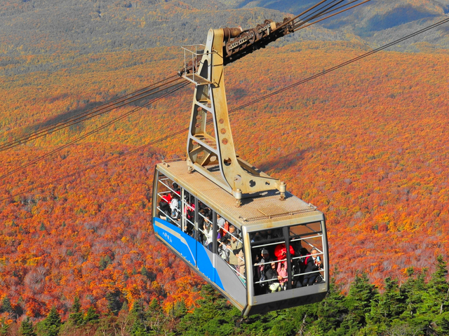 10. 【青森】八甲田ロープウェー / 乗り物から紅葉を楽しむ