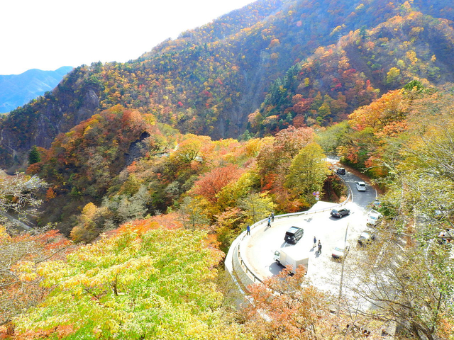 12. 【栃木】いろは坂 / 紅葉ドライブ
