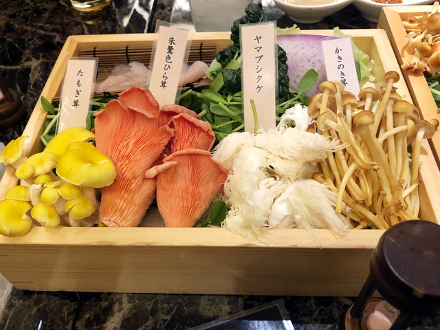 3. きのこ / 岐阜・東京