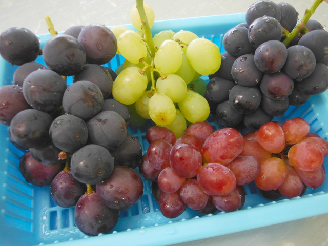 5. ブドウ / 山梨