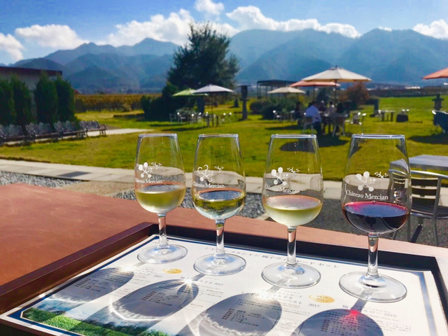 5. ブドウ / 山梨