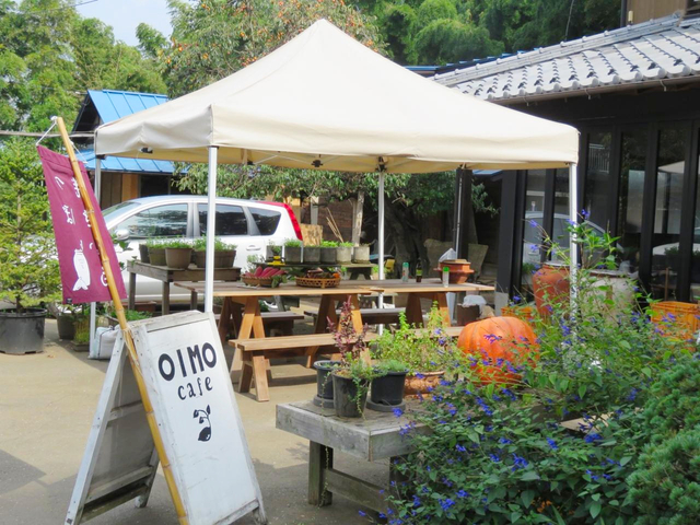 9. さつま芋 / 埼玉