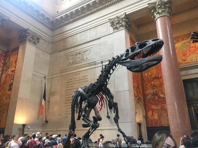 アメリカ自然史博物館