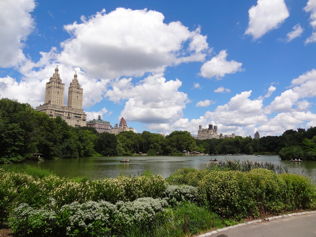 セントラル パーク