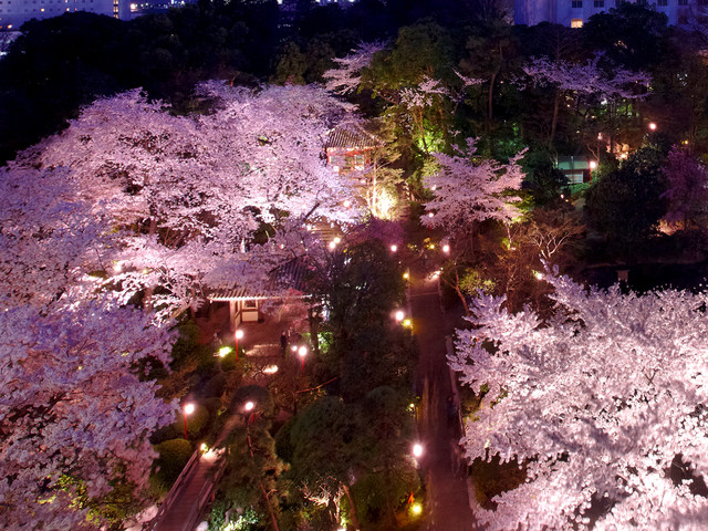 グランドプリンスホテル新高輪