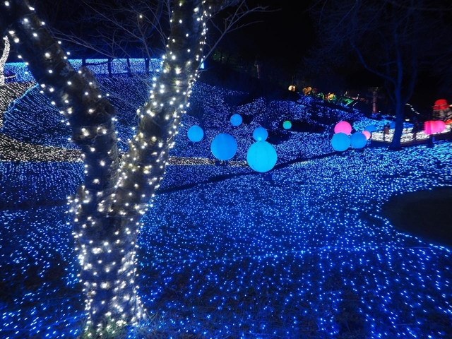 7. さがみ湖リゾート プレジャーフォレスト さがみ湖イルミリオン / 神奈川