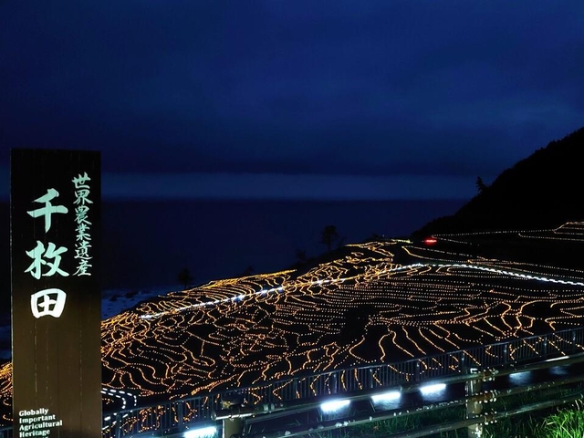 8. 白米千枚田 あぜのきらめき / 石川