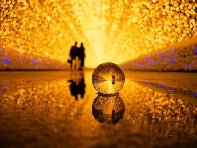 13. なばなの里　イルミネーション / 三重