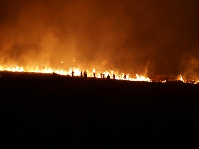 12. 奈良・若草山焼き