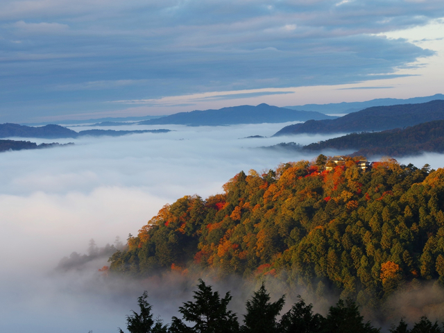 14. 岡山・備中松山城の雲海