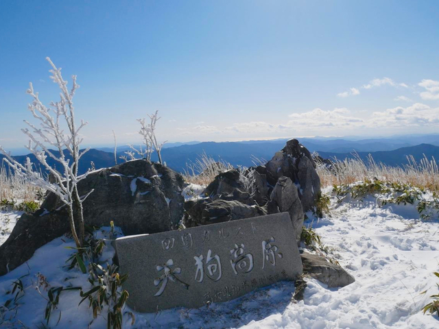 15. 高知・冬の四国カルスト(天狗高原)