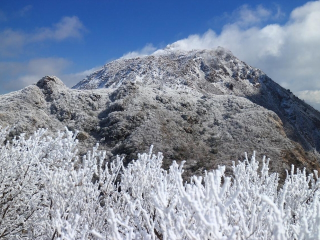 16. 長崎・仁田峠の花ぼうろ