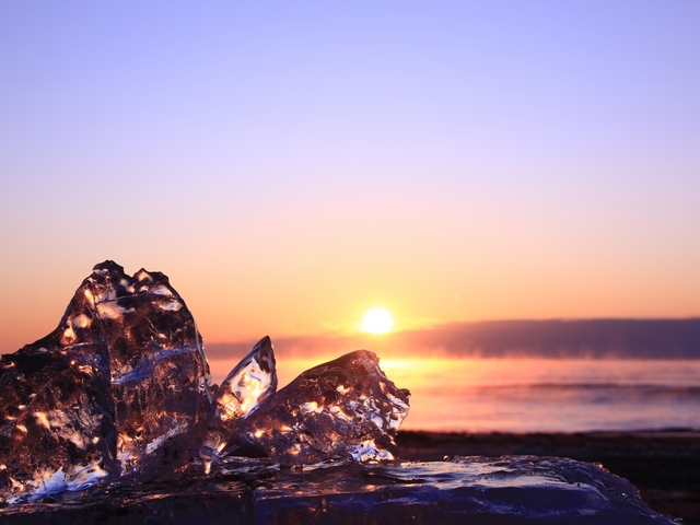 いかがでしたか？