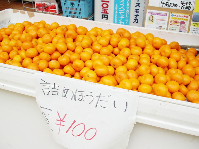 16. ミカン / 愛媛