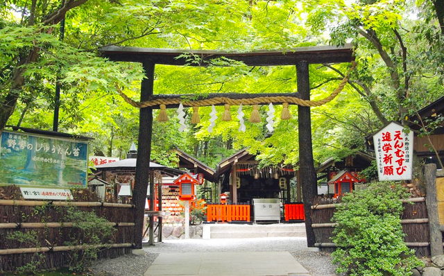 8. 野宮神社 / 嵯峨野宮町