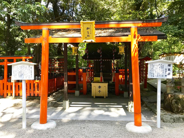 9. 下鴨神社(賀茂御祖神社) / 下鴨泉川町