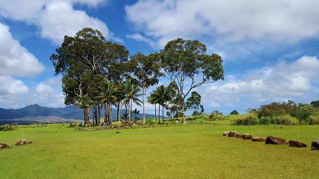 ロイヤルバースストーン (クカニロコ)