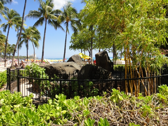 ワイキキの魔法石