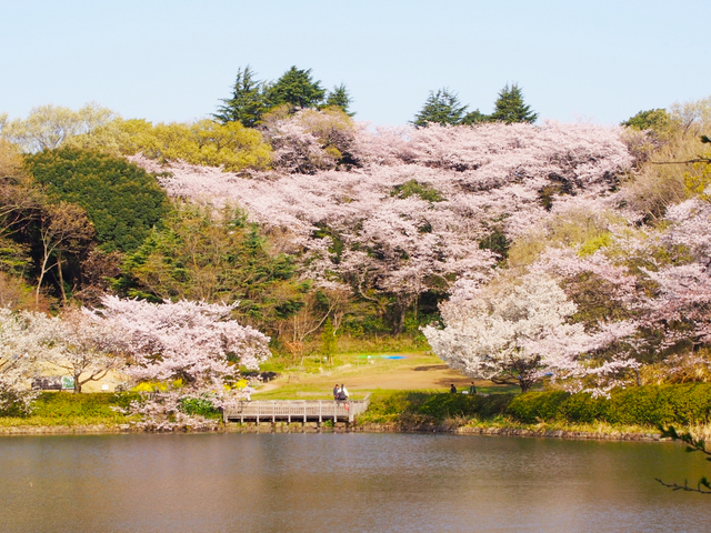 県立三ツ池公園 / 神奈川