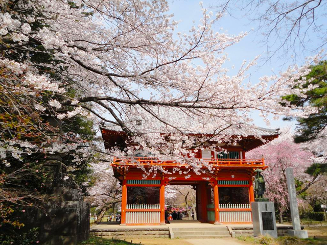 清水公園 / 千葉