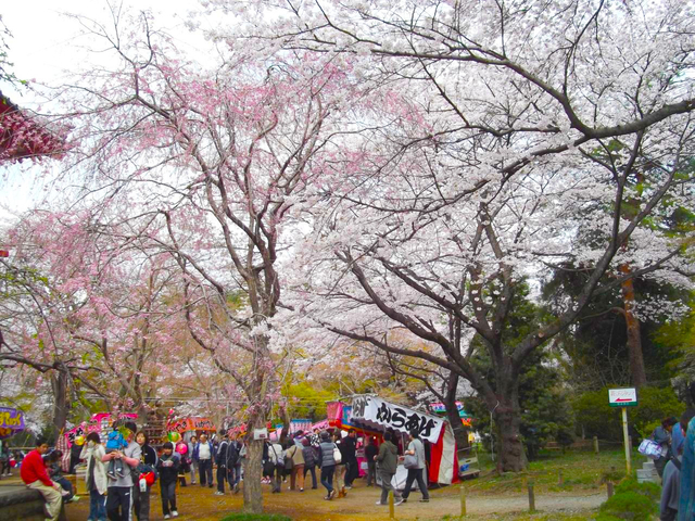 清水公園 / 千葉