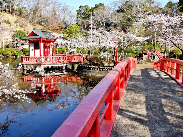 関東 桜の名所22年 東日本も含めたお花見 絶景スポットを紹介 トラベルマガジン