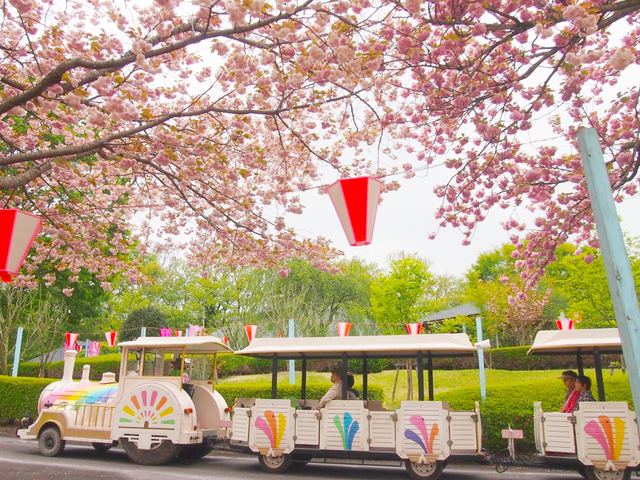 天平の丘公園 / 栃木