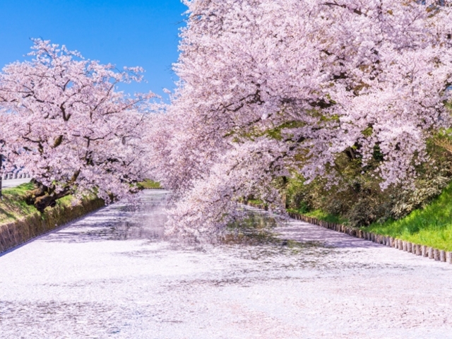 弘前公園 / 青森
