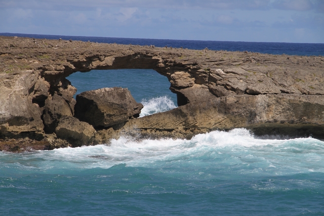 ライエ ポイント