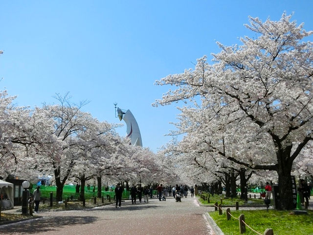 万博記念公園 / 大阪