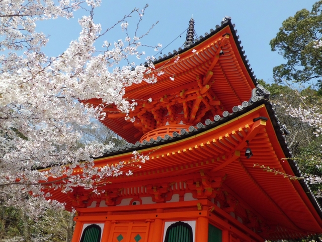 紀三井寺 / 和歌山