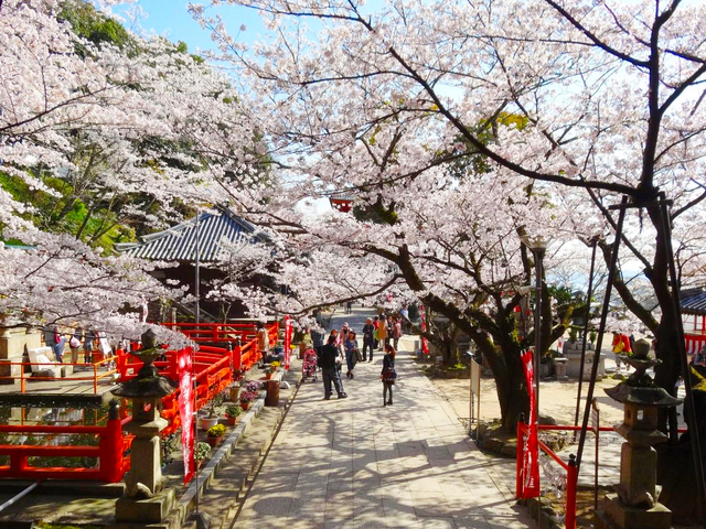 紀三井寺 / 和歌山