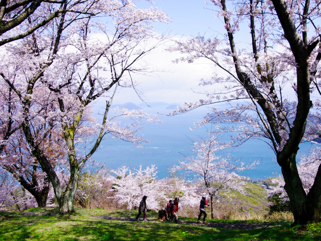 紫雲出山 / 香川