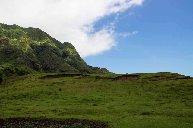 クアロアランチ