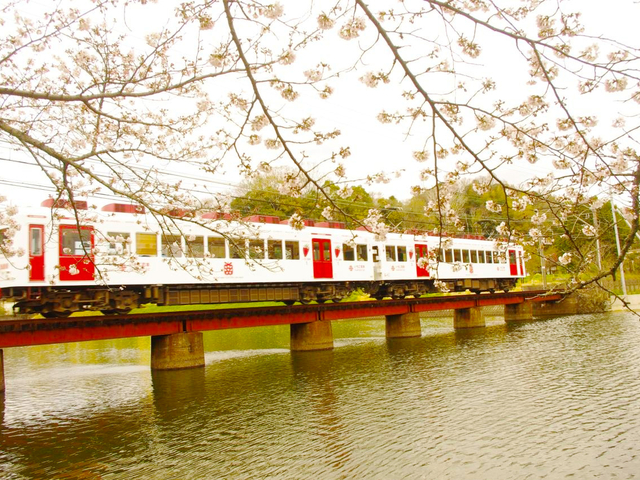 いちご電車 / 和歌山