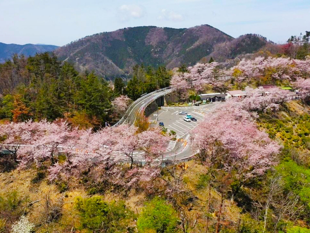 奥琵琶湖パークウェイ / 滋賀