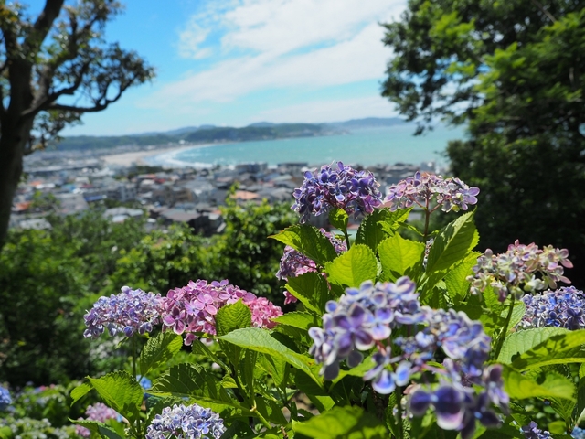 鎌倉ってどんなところ？