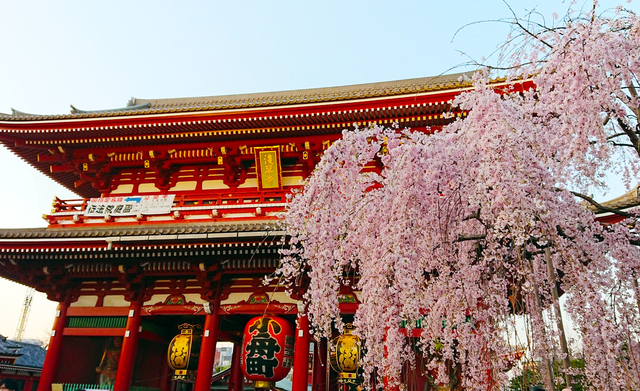 浅草寺