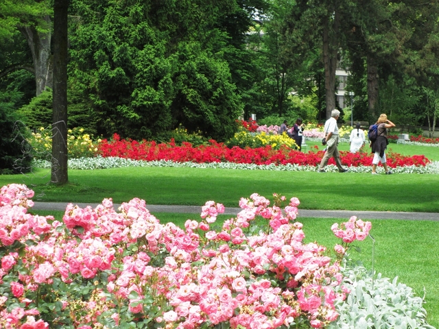 バラ公園