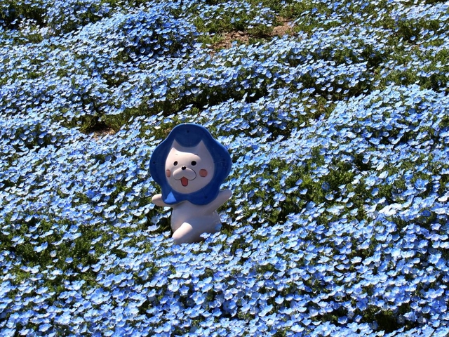 大阪まいしまシーサイドパーク / 大阪