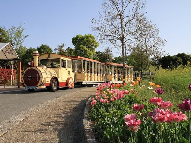 堺・緑のミュージアム ハーベストの丘 / 大阪